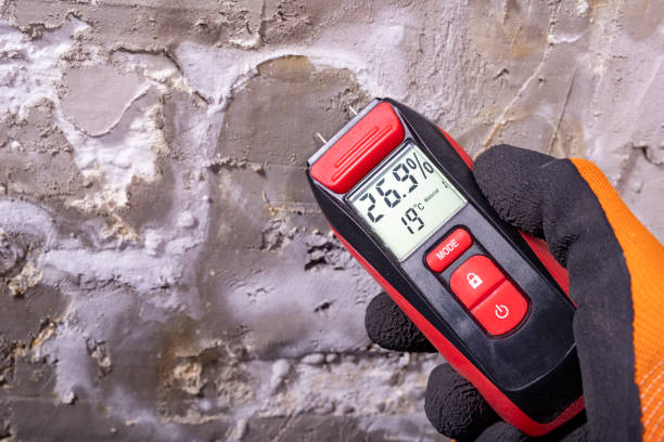 Best Mold Remediation  in Pottsboro, TX