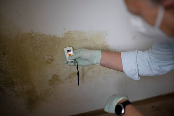Best Mold Inspection  in Pottsboro, TX